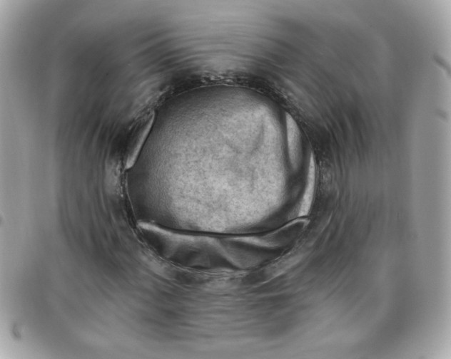 X0000097771060200803211731