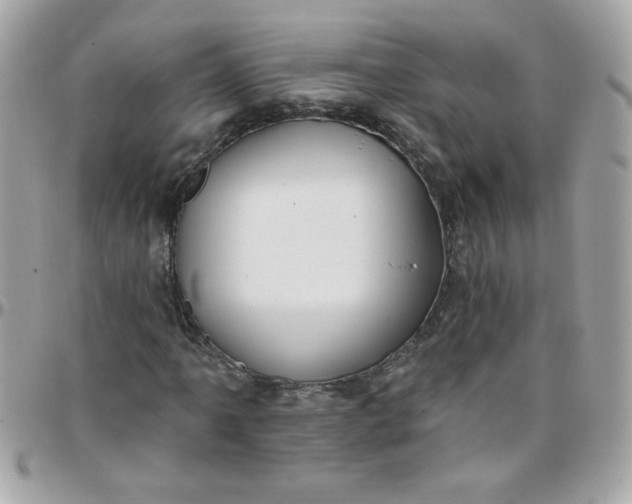 X0000097771061200803211731