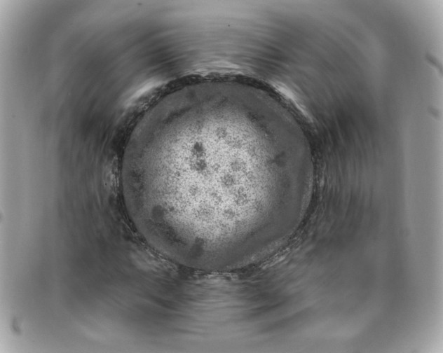 X0000097771063200803211731