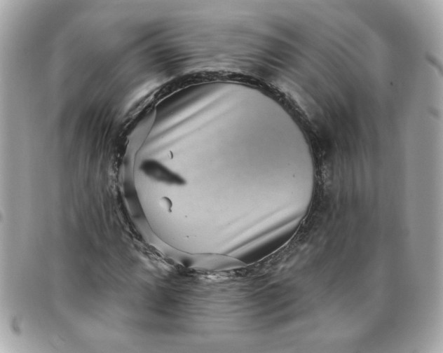 X0000097771064200803211731
