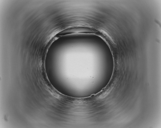 X0000097771065200803211731