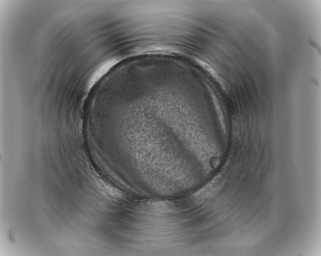 X0000097771066200803211731
