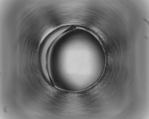 X0000097771069200803211731