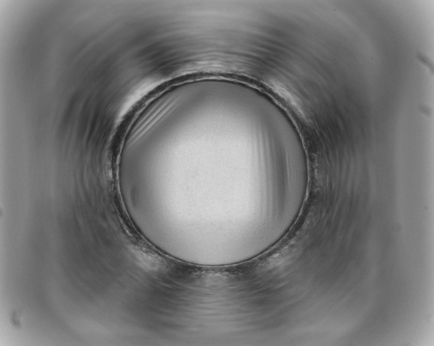 X0000097771070200803211731