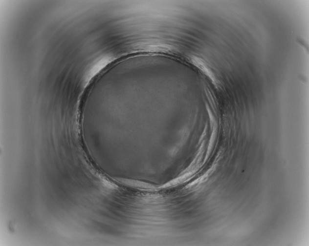 X0000097771071200803211731
