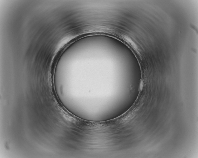X0000097771072200803211731
