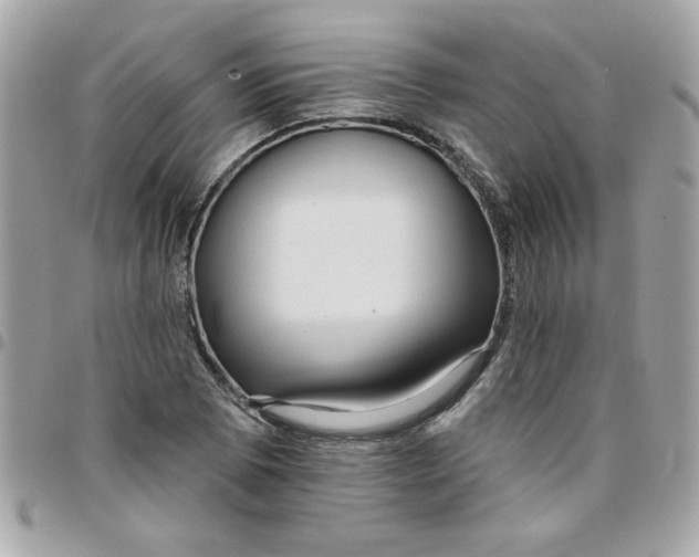 X0000097771073200803211731