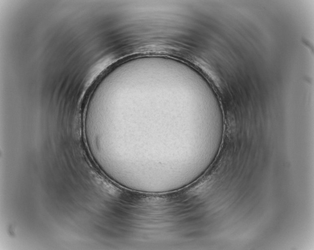 X0000097771075200803211731