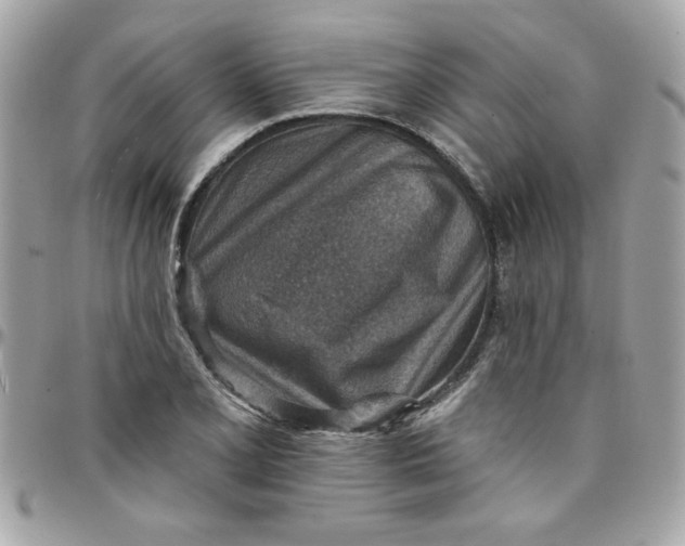 X0000097771077200803211731