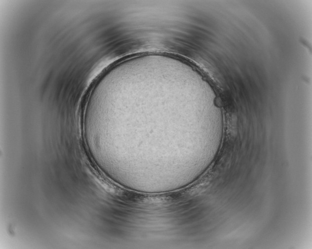 X0000097771078200803211731