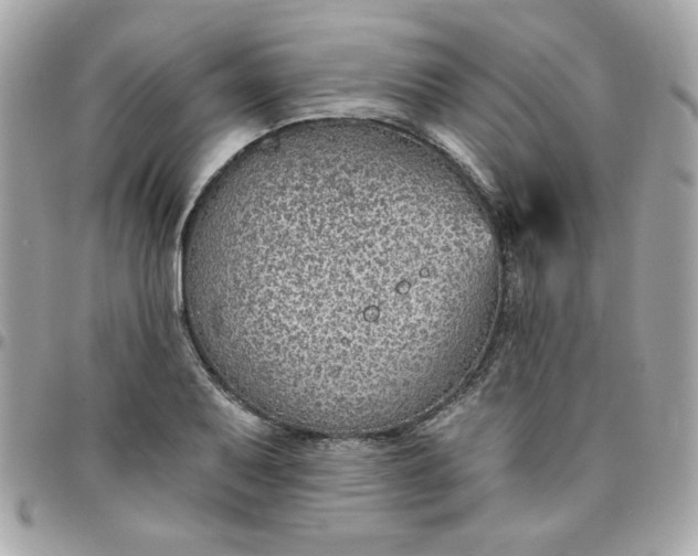 X0000097771079200803211731