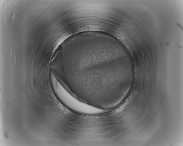 X0000097771081200803211731
