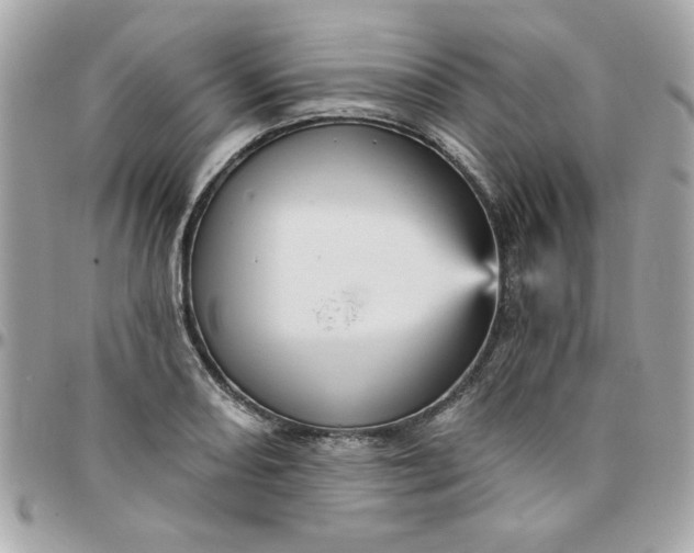 X0000097771082200803211731