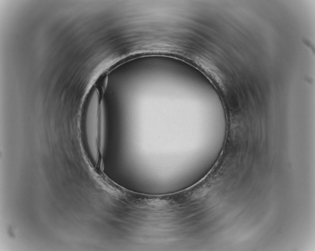X0000097771085200803211731