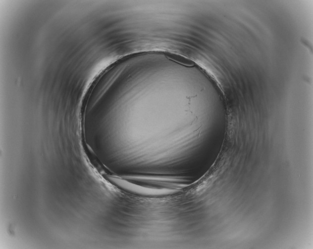 X0000097771088200803211731