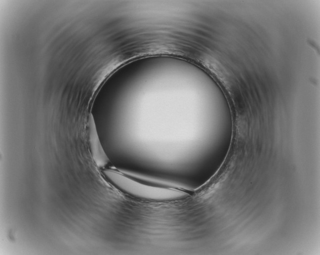 X0000097771089200803211731