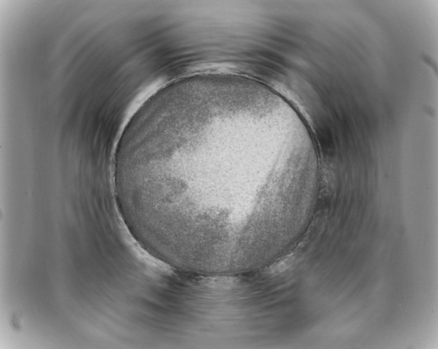 X0000097771090200803211731