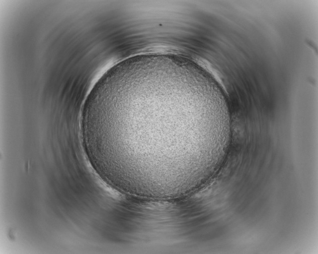 X0000097771091200803211731