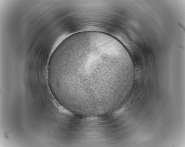 X0000097771094200803211731