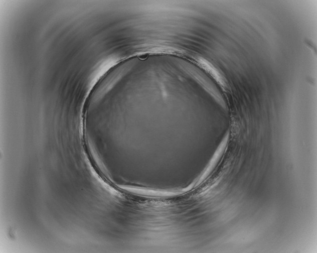 X0000097771095200803211731