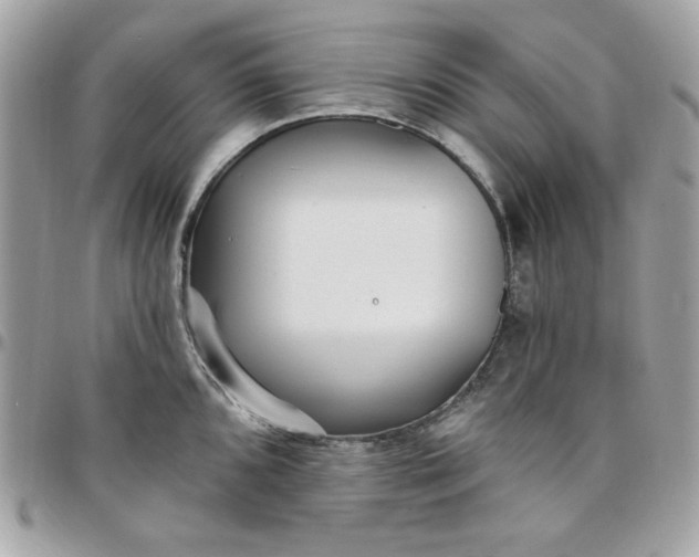 X0000097771096200803211731