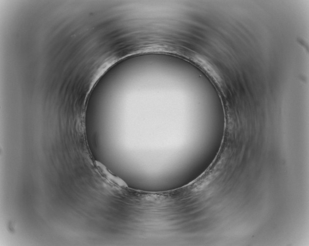 X0000097771097200803211731