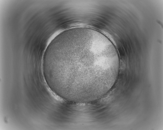 X0000097771098200803211731