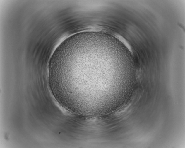 X0000097771099200803211731