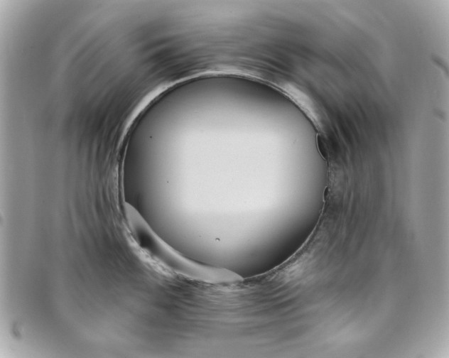 X0000097771100200803211731