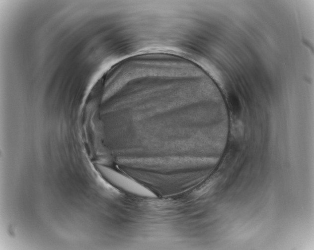 X0000097771102200803211731