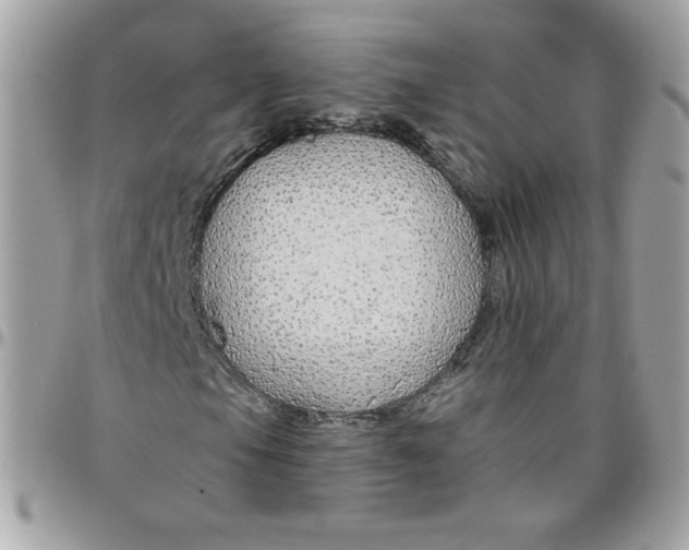 X0000097771105200803211730