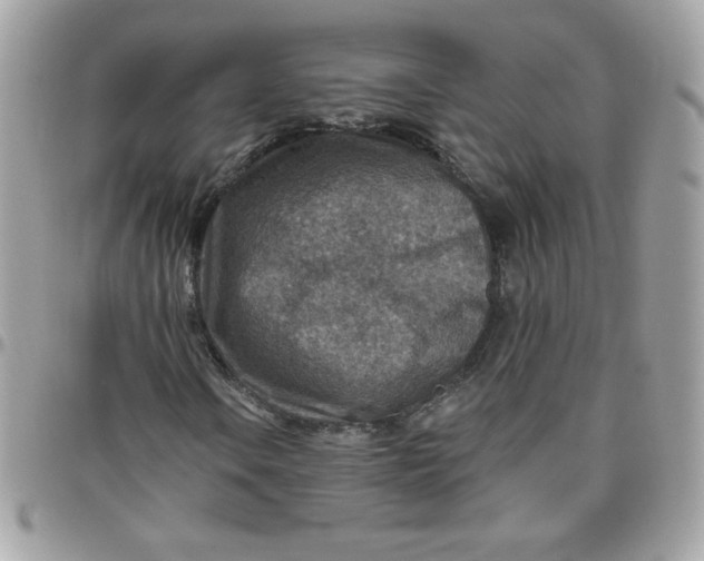 X0000097771106200803211730