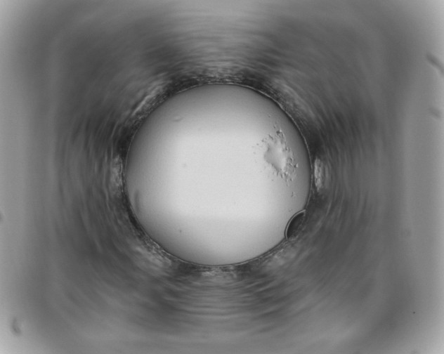 X0000097771107200803211730