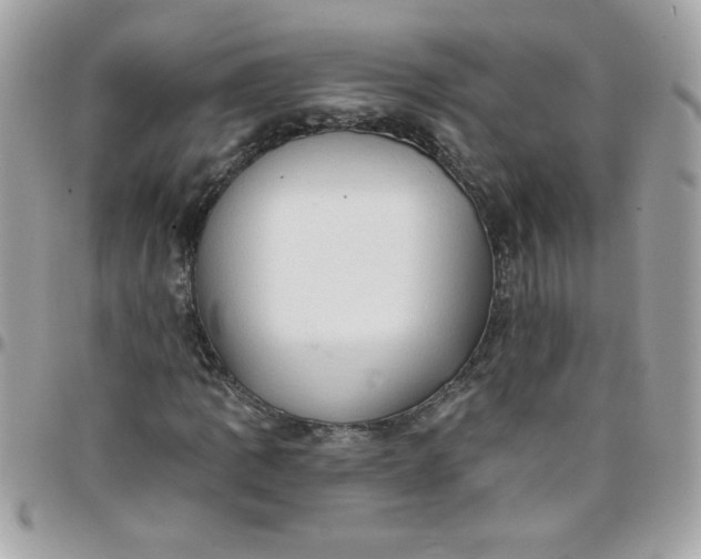 X0000097771109200803211730
