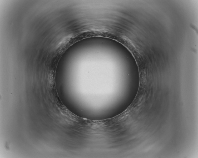 X0000097771110200803211730
