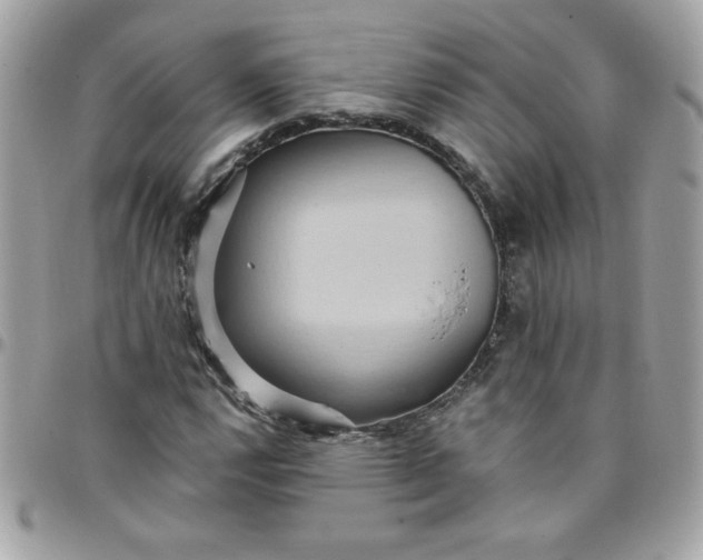 X0000097771112200803211730
