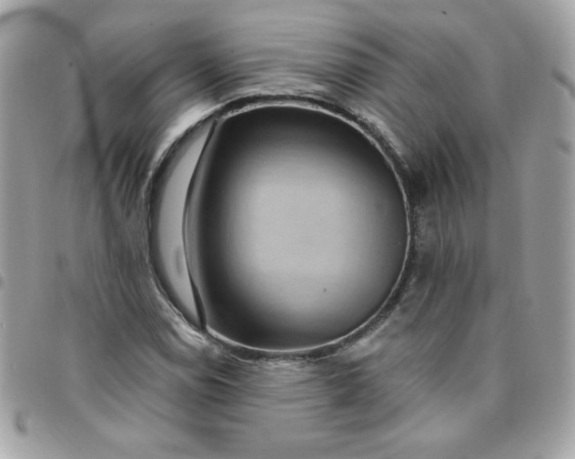 X0000097771114200803211730