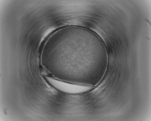 X0000097771115200803211730