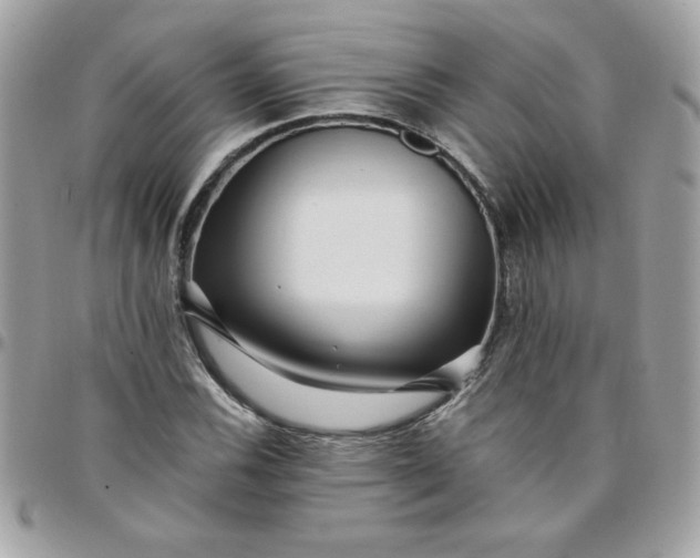 X0000097771116200803211730