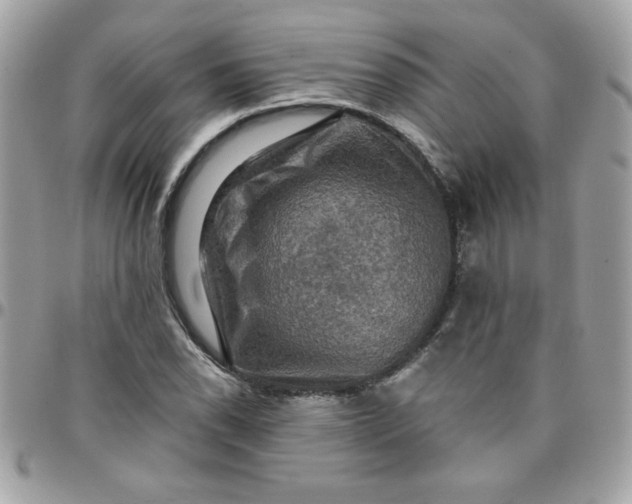 X0000097771118200803211730