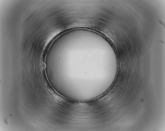 X0000097771119200803211730
