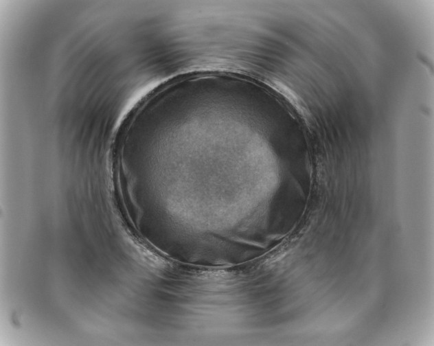 X0000097771120200803211730