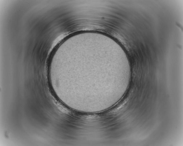 X0000097771122200803211730
