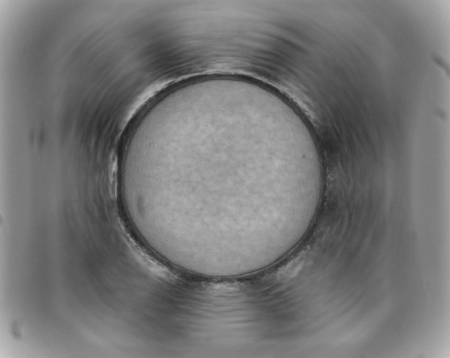 X0000097771126200803211730