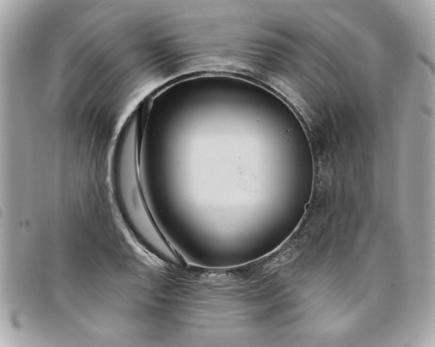 X0000097771128200803211730