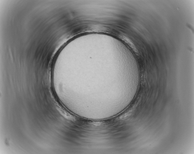 X0000097771130200803211730