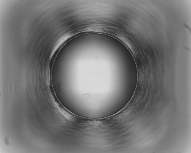 X0000097771131200803211731