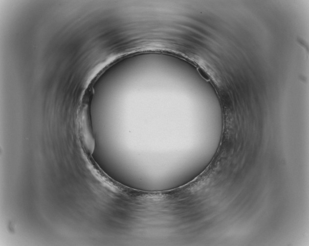 X0000097771134200803211731
