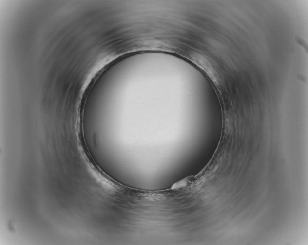 X0000097771136200803211731