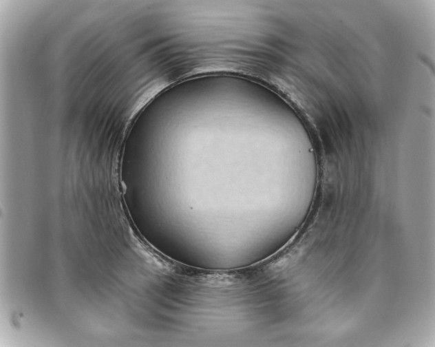 X0000097771137200803211731